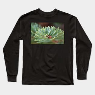 Noble Fir Long Sleeve T-Shirt